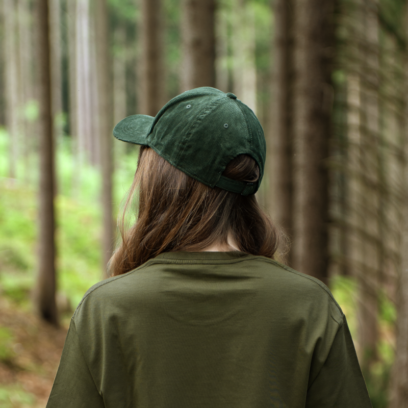 6c85e498016e1ab97ff40d7a32585759