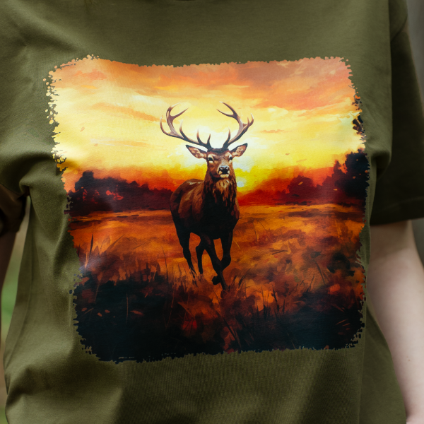 ad7b5a53215d86d79b443d13827d4cf0