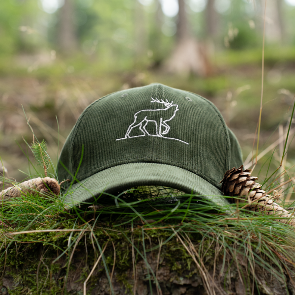 5b04aa753d483100d4f92bcaf725d7bb